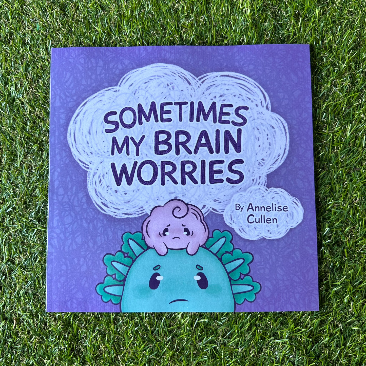 Sometimes My Brain Worries - illustrated children's book